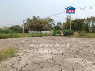 Plot of barren land with vegetation in the background