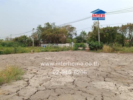 Plot of barren land with vegetation in the background