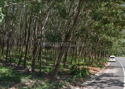 AOP6449: Land for Sale in Paklok