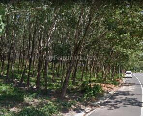 AOP6449: Land for Sale in Paklok