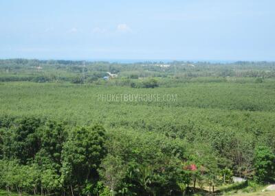 MAI2047: 10.000 sqm Panoramic full Sea View Phuket.