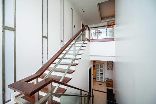 Modern staircase with glass railing and wooden steps