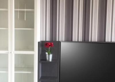 Modern living room with a television and a decorative cabinet