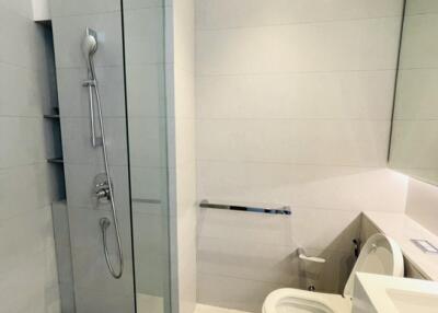 Modern bathroom with walk-in shower and toilet