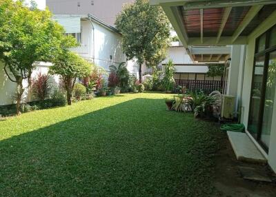 Beautiful well-maintained garden with lush green lawn