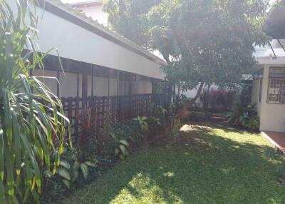 Outdoor garden area with various plants and a tree