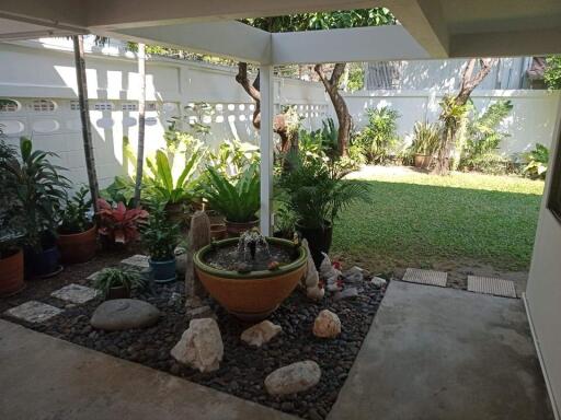 Backyard with garden and rock feature