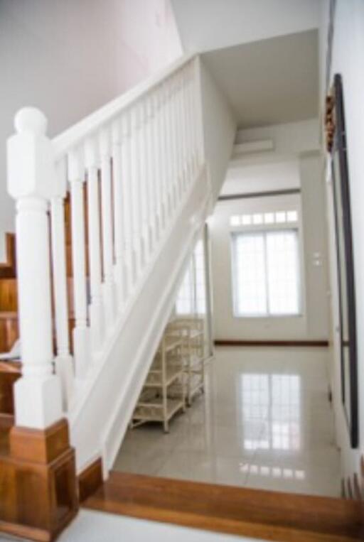 A staircase with wooden steps and white balustrades