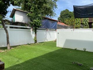 Backyard with green lawn and trees