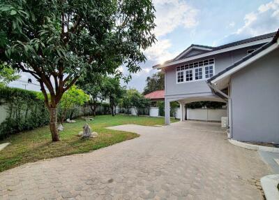 Spacious backyard with lawn and paved driveway