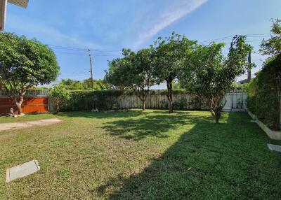 Spacious backyard with green lawn and trees