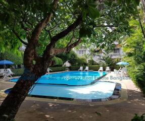 Swimming pool area with trees and lounge chairs