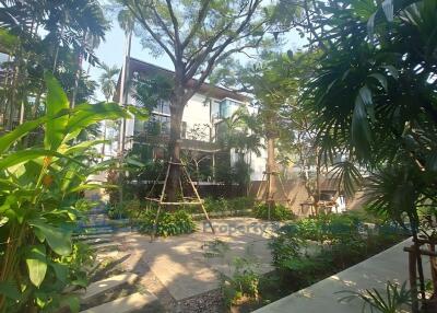 Garden area with surrounding greenery and modern building