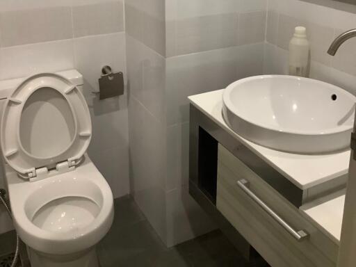 Modern bathroom with toilet and sink