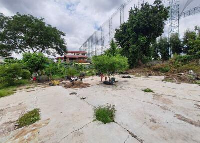 Spacious outdoor area with greenery and trees