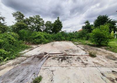 Empty plot of land