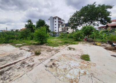 Outdoor area with overgrown greenery and view of surrounding buildings