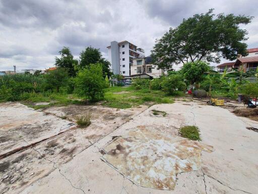 Outdoor area with overgrown greenery and view of surrounding buildings