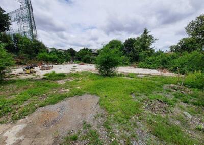 Vacant land plot with greenery