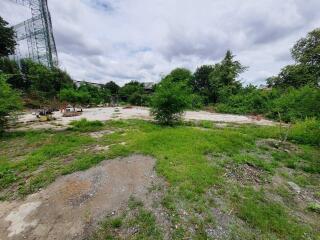 Vacant land plot with greenery