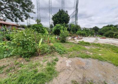 Spacious garden area