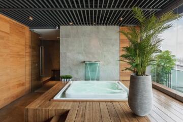 Luxurious indoor spa with hot tub and plant