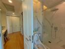 Modern bathroom with shower and toilet