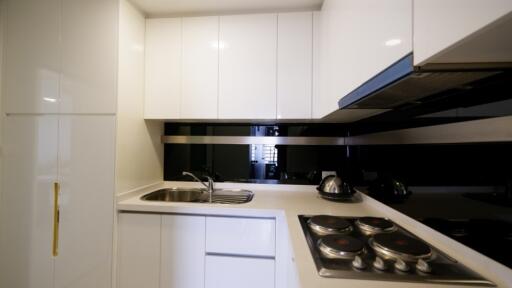 Modern white kitchen with built-in appliances