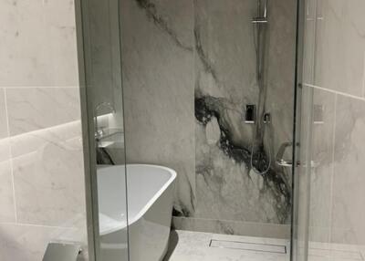 Modern bathroom with a bathtub and a walk-in shower