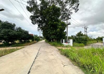 Photo of a road with surrounding greenery and trees