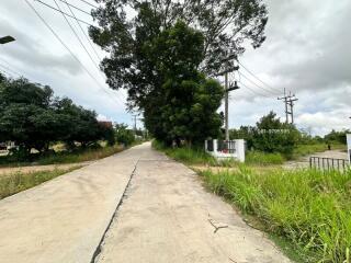 Photo of a road with surrounding greenery and trees