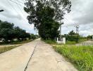 Photo of a road with surrounding greenery and trees