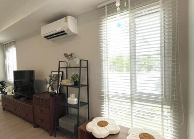 Modern living room with entertainment unit and decor