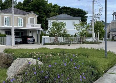 Street view of residential area with houses