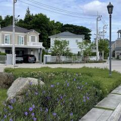 Street view of residential area with houses