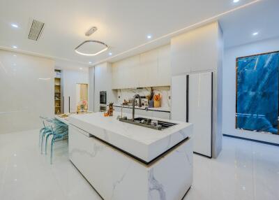 Modern kitchen with island and built-in appliances