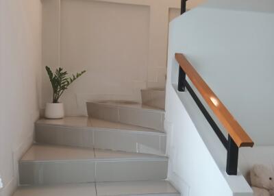 Modern staircase with indoor plant and railing