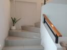 Modern staircase with indoor plant and railing