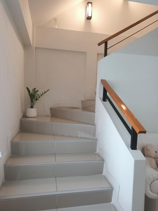 Modern staircase with indoor plant and railing