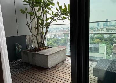 Balcony with potted plant and view of city buildings