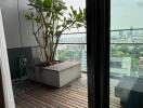 Balcony with potted plant and view of city buildings