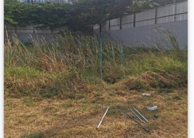 Vacant land with overgrown grass and fencing