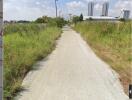 View of pathway in Bang Kaeo, Samut Prakan