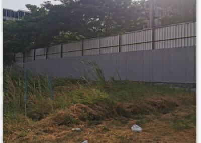 vacant yard with overgrown grass and surrounding trees