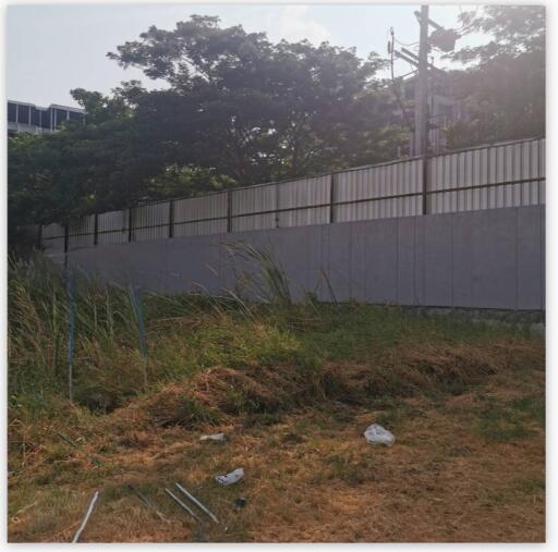 vacant yard with overgrown grass and surrounding trees