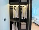 Built-in closet with hanging shirts and storage boxes