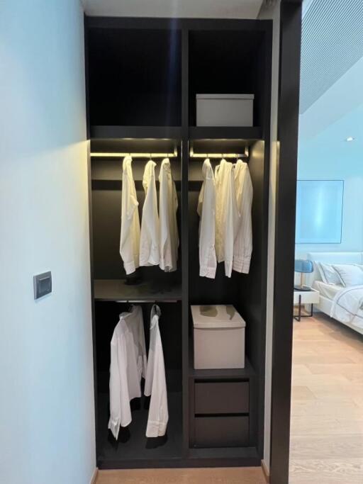 Built-in closet with hanging shirts and storage boxes