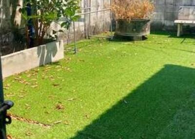 Sunny outdoor garden with artificial green grass