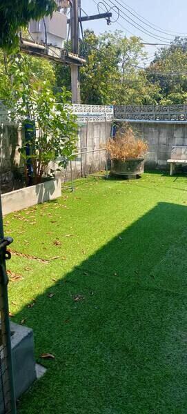 Sunny outdoor garden with artificial green grass