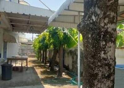 Exterior view with covered parking area, trees, and pathway